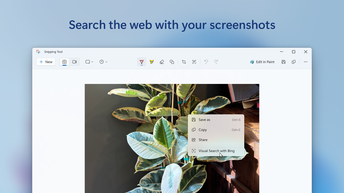 Snipping Tool context menu highlighting Visual Search with Bing on a plant photo